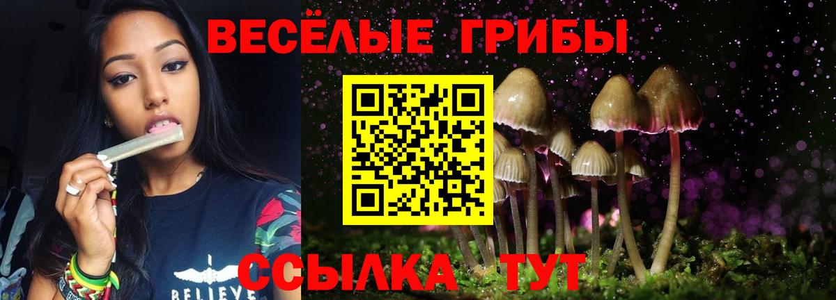 Псилоцибиновые грибы мухоморы Волгодонск
